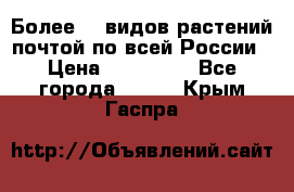 Более200 видов растений почтой по всей России › Цена ­ 100-500 - Все города  »    . Крым,Гаспра